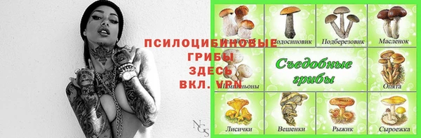 дмт Балахна