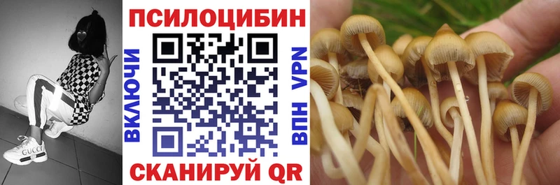 Псилоцибиновые грибы GOLDEN TEACHER Лаишево